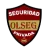 OLSEG Seguridad